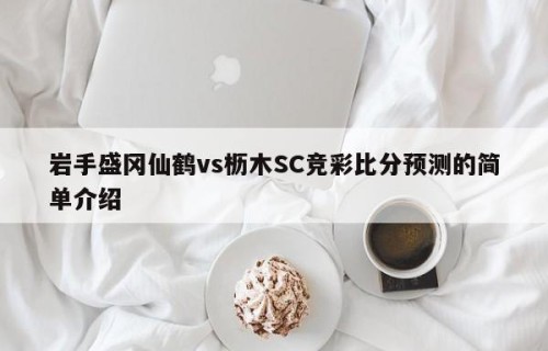 岩手盛冈仙鹤vs枥木SC竞彩比分预测的简单介绍