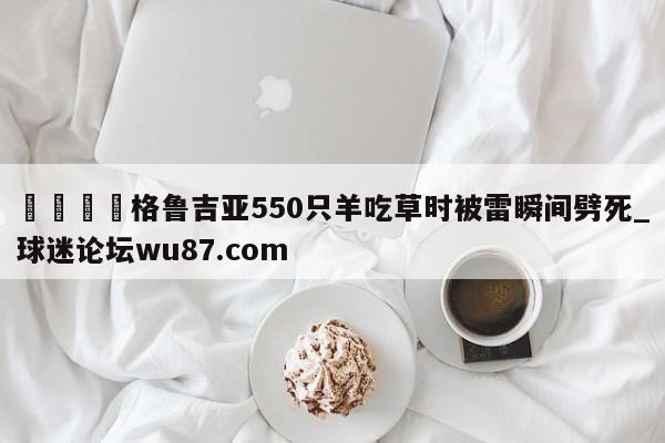 🍢格鲁吉亚550只羊吃草时被雷瞬间劈死_球迷论坛wu87.com