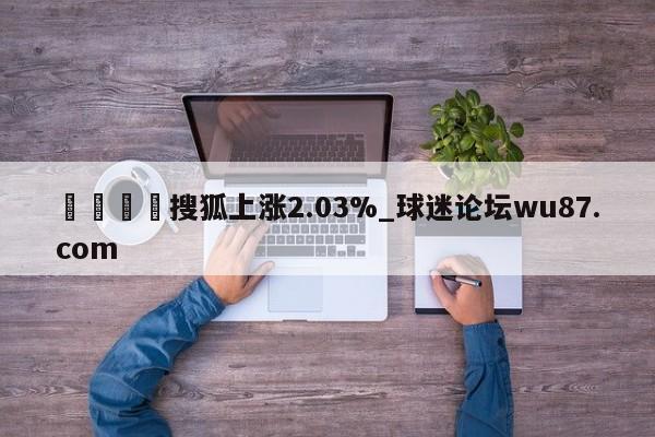 🍢搜狐上涨2.03%_球迷论坛wu87.com